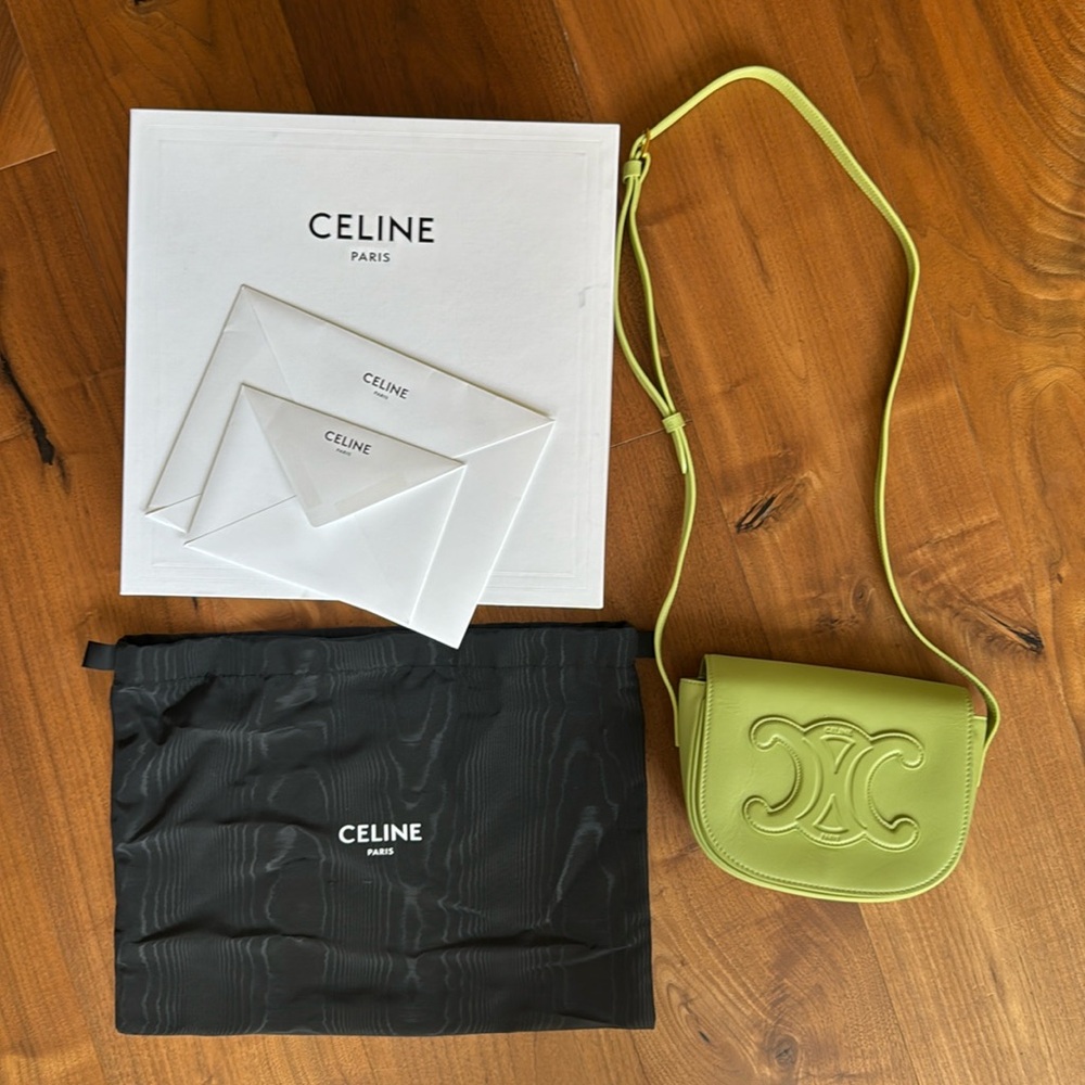 Celine Cuir Triomphe Folco Leather Bag / light jade / green